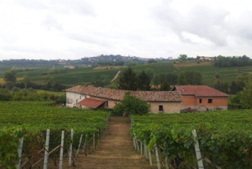 case-in-piemonte-piedmont-real-estate-running-winery-panoramic-position-17