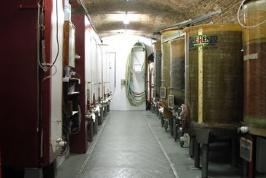 case-in-piemonte-piedmont-real-estate-running-winery-panoramic-position-2