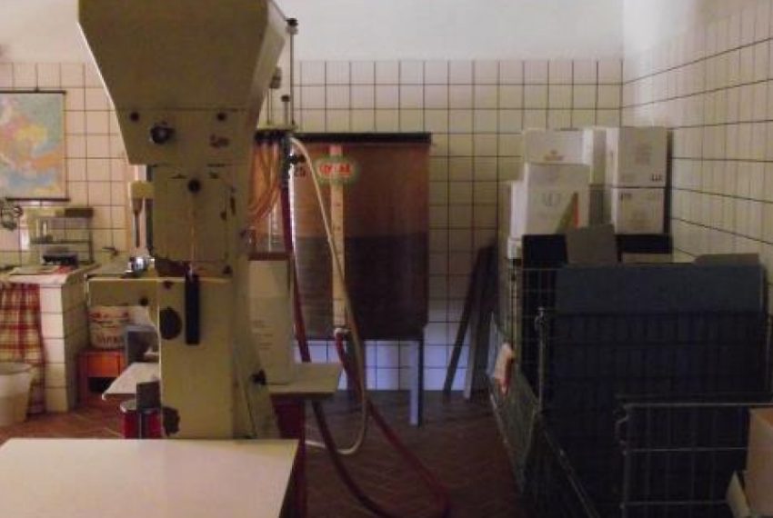 case-in-piemonte-piedmont-real-estate-running-winery-panoramic-position-3