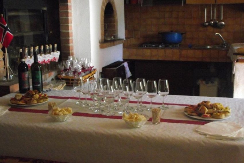 case-in-piemonte-piedmont-real-estate-running-winery-panoramic-position-4