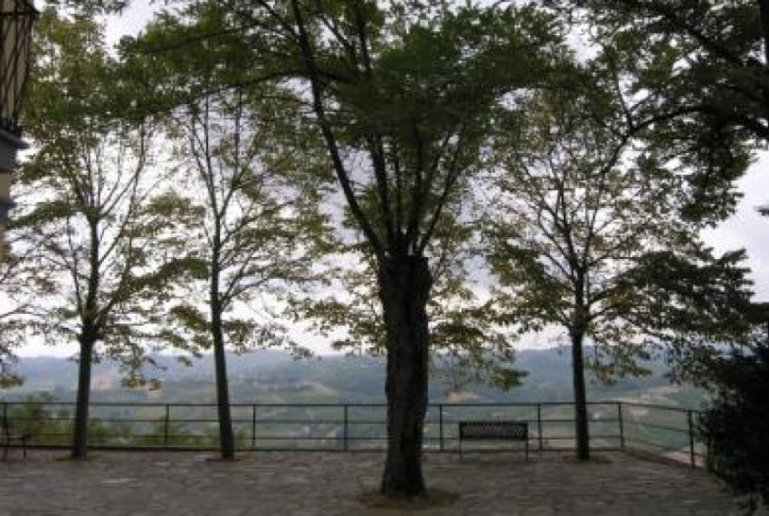 case-in-piemonte-piedmont-real-estate-panoramic-villa-b&b-panoramic-position-2