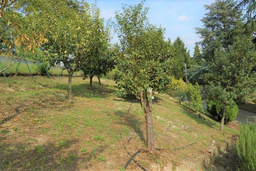 case-in-piemonte-piedmonte-properties-real-estate-Canelli- 683 (20)
