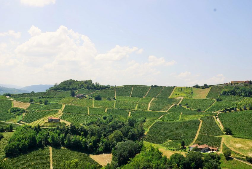 case-in-piemonte-piedmont-properties-real-estate-eli-anne-fabiana-968 (18)