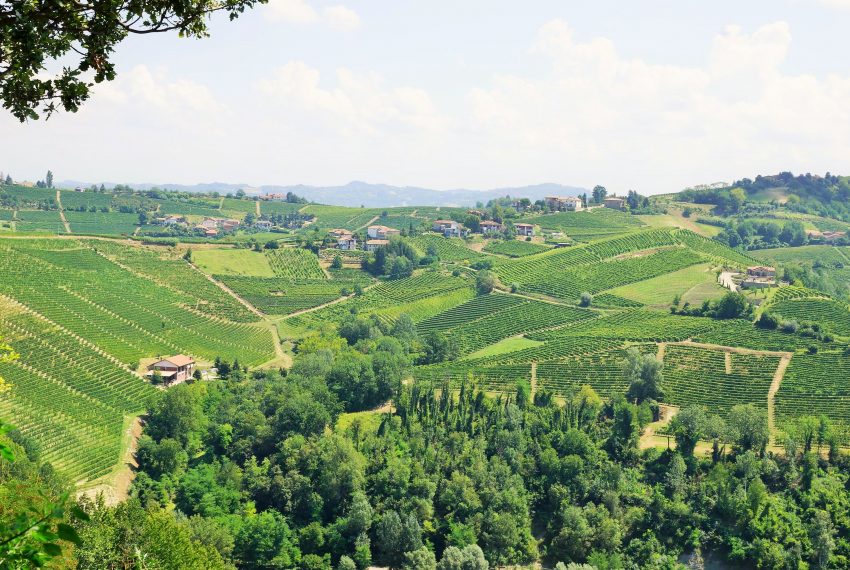 case-in-piemonte-piedmont-properties-real-estate-eli-anne-fabiana-968 (4)