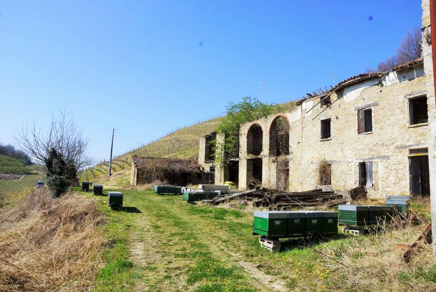 unesco-case-in-piemonte-piedmont-properties-real-estate-eli-anne-fabiana-1122 (3)