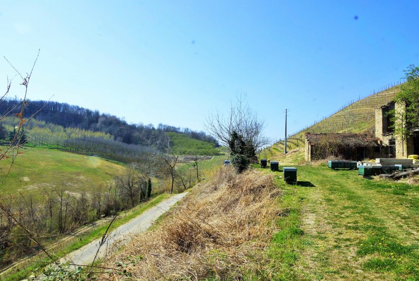 unesco-case-in-piemonte-piedmont-properties-real-estate-eli-anne-fabiana-1122 (4)