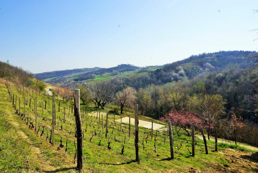 unesco-case-in-piemonte-piedmont-properties-real-estate-eli-anne-fabiana-1122 (6)