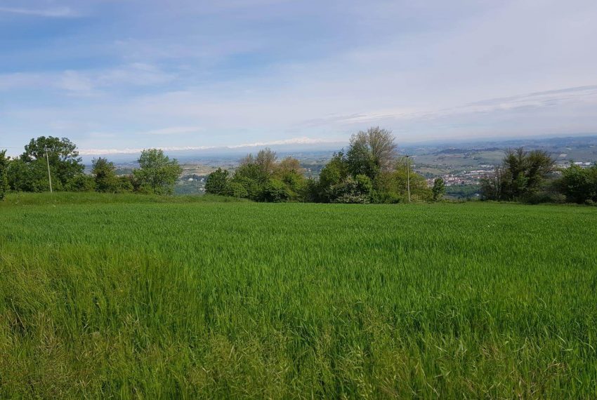 case-in-piemonte-piedmont-properties-real-estate-eli-anne-fabiana-1135 (3)