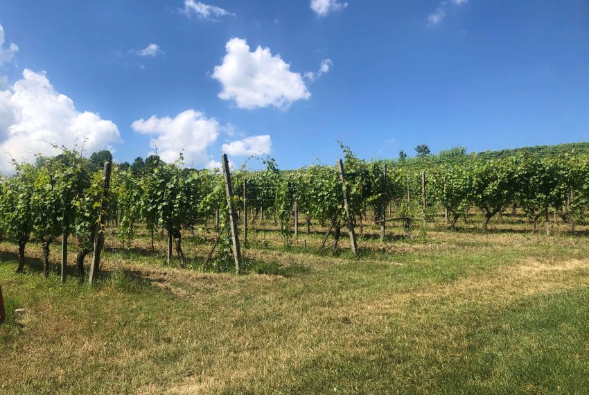 case-in-piemonte-piedmont-properties-real-estate-eli-anne-fabiana-627 (15)