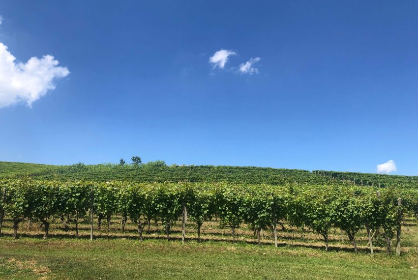 case-in-piemonte-piedmont-properties-real-estate-eli-anne-fabiana-627 (22)