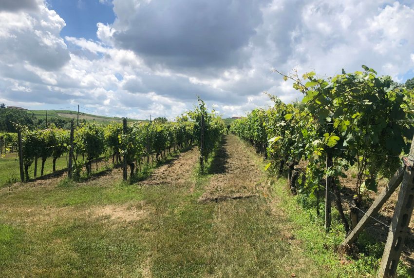 case-in-piemonte-piedmont-properties-real-estate-eli-anne-fabiana-627 (23)