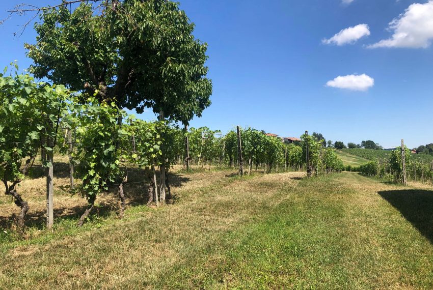 case-in-piemonte-piedmont-properties-real-estate-eli-anne-fabiana-627 (24)