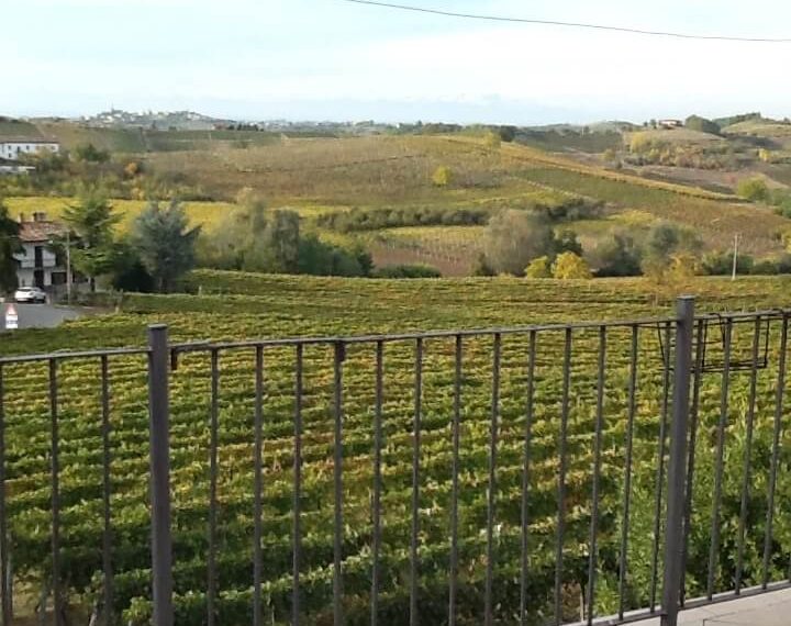 CM-1269-elianne-fabiana-caseinpiemonte-realestate-properties-piemonte-langhe-monferrato-unesco-nizza (15)