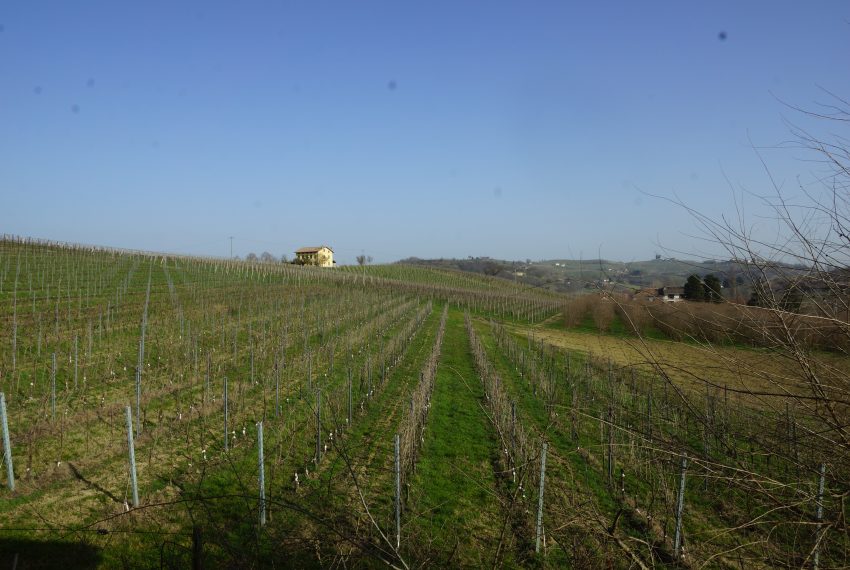 case-in-piemonte-piedmont-properties-real-estate-eli-anne-fabiana-1290 (28)