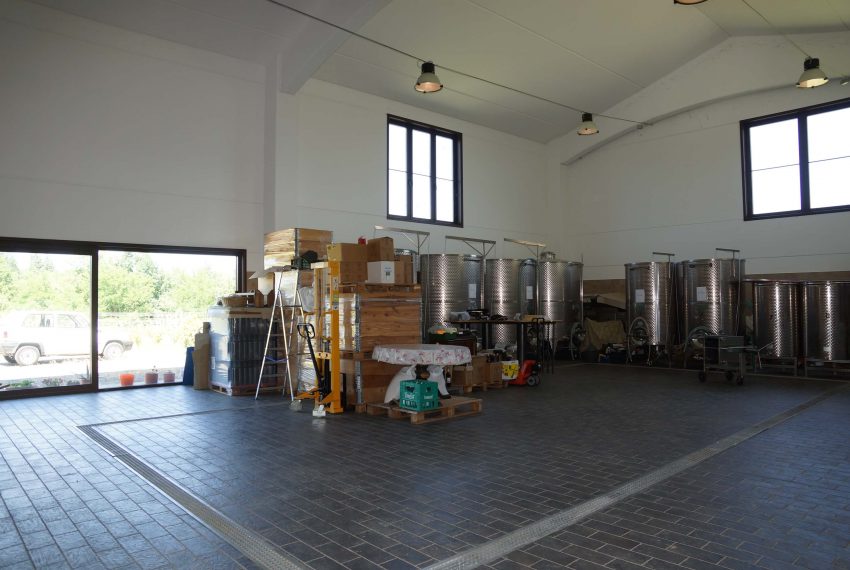 CP-1304-unesco-vineyard-winery-nizza-barbera-fabiana-elianne-realestate-caseinpiemonte-asti-homesinpiemonte (39)