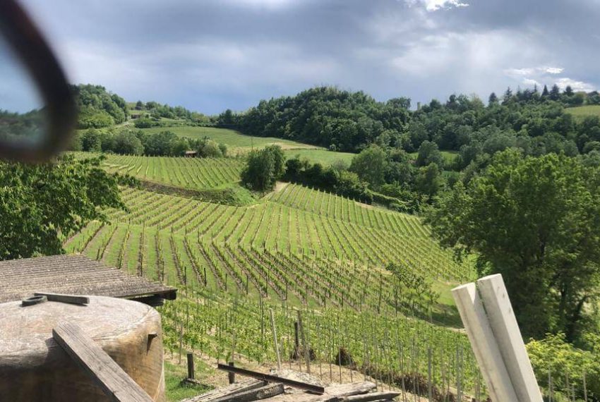 CR-1306-rocchetta-realestate-fabiana-eliannne-caseinpiemonte-unesco-stone-canelli-homesinpiemonte-nizza (52)