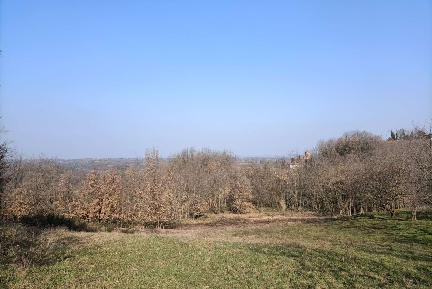 case-in-piemonte-piedmont-properties-real-estate-eli-anne-fabiana (3)