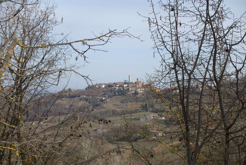 case-in-piemonte-piedmont-properties-rea-estate-eli-anne-fabiana-1456 (1 (22)