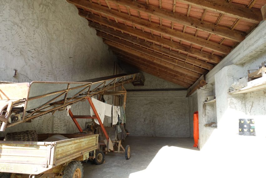 case-in-piemonte-piedmont-properties-rea-estate-eli-anne-fabiana-1456 (1 (28)