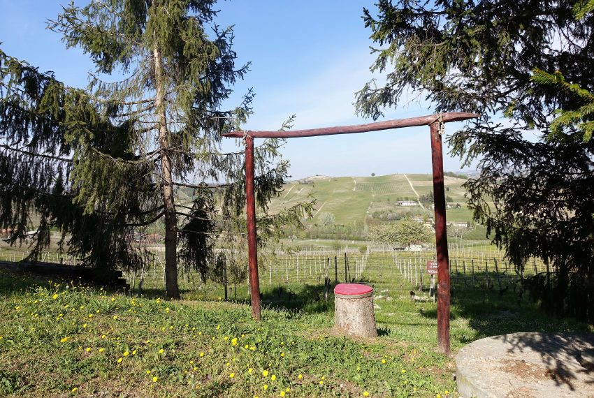 cp-1470-caseinpiemonte-sanmarzanooliveto-vineyards-unesco-winecellar-view-elianne-fabiana (1)