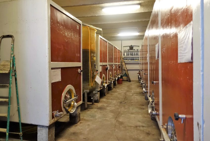 cp-1470-caseinpiemonte-sanmarzanooliveto-vineyards-unesco-winecellar-view-elianne-fabiana (10)