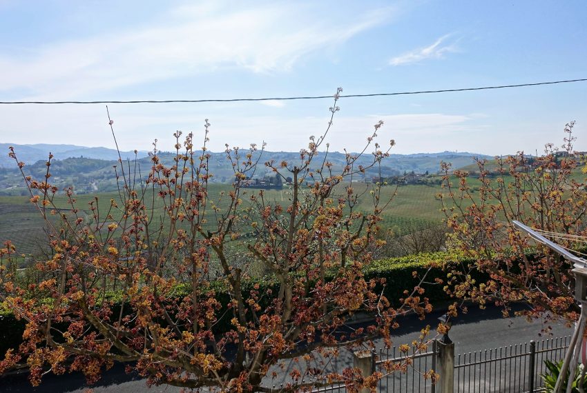 cp-1470-caseinpiemonte-sanmarzanooliveto-vineyards-unesco-winecellar-view-elianne-fabiana (7)