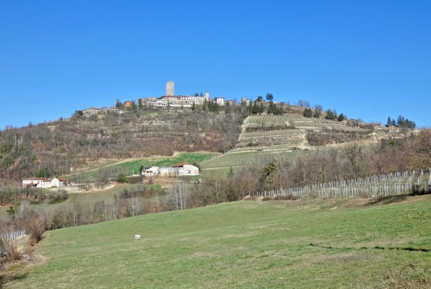 cr-1468-caseinpiemonte-realestate-piemonte-monferrato-elianne-fabiana (20)