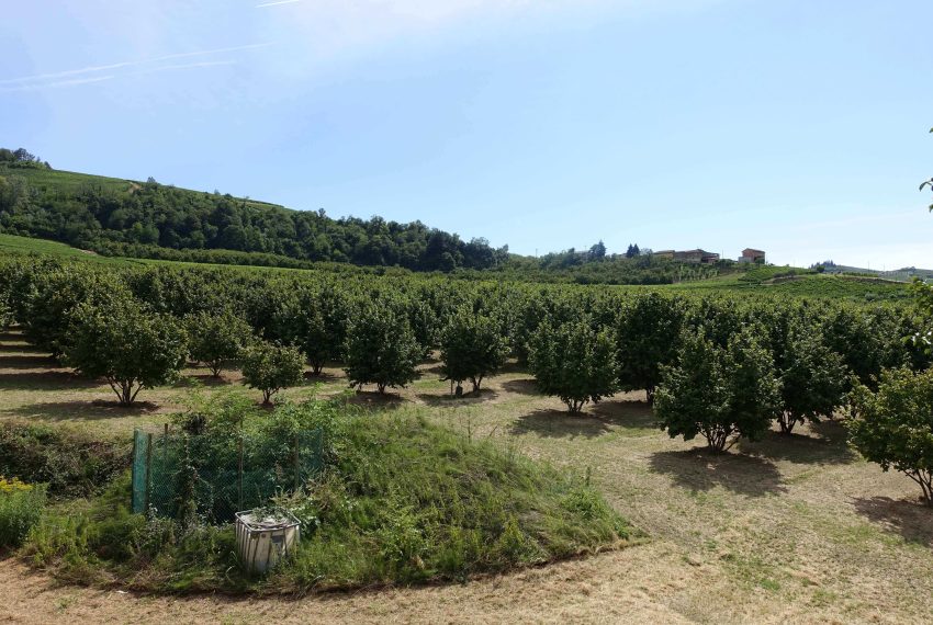 case-in-piemonte-piedmont-properties-real-estate-eli-anne-fabiana-1494 (2)