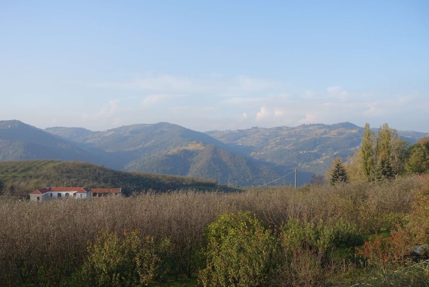 CP-1501-caseinpiemonte-castino-piemonte-realestate-fabiana-elianne-UNESCO (12)