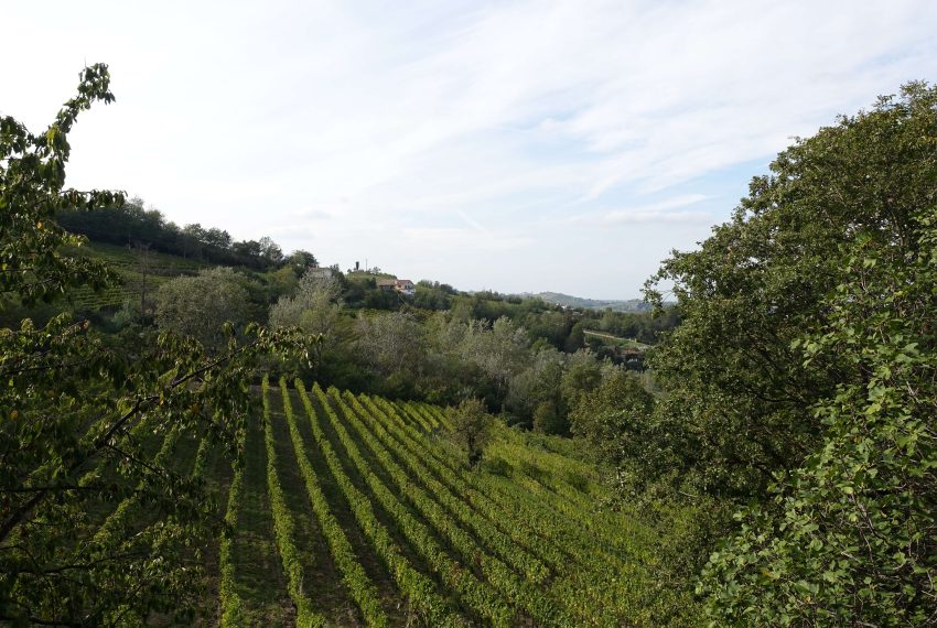 case-in-piemonte-piedmont-properties-real-estate-eli-anne-fabiana-1509 (16)