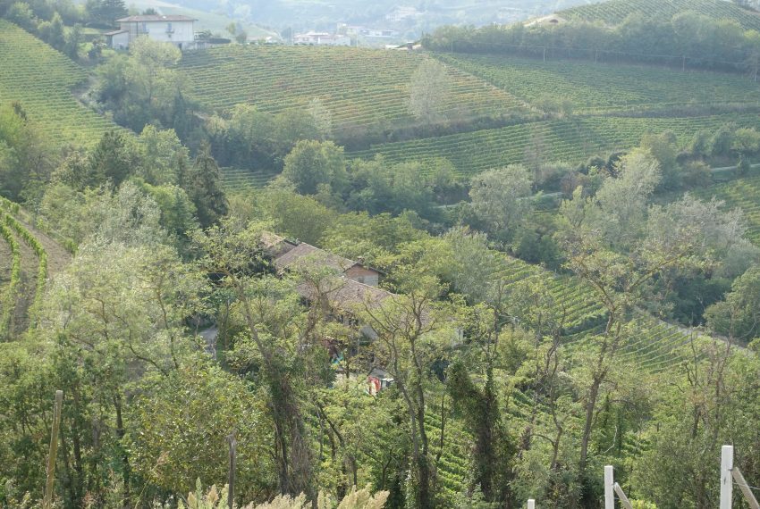 case-in-piemonte-piedmont-properties-real-estate-eli-anne-fabiana-1509 (17)