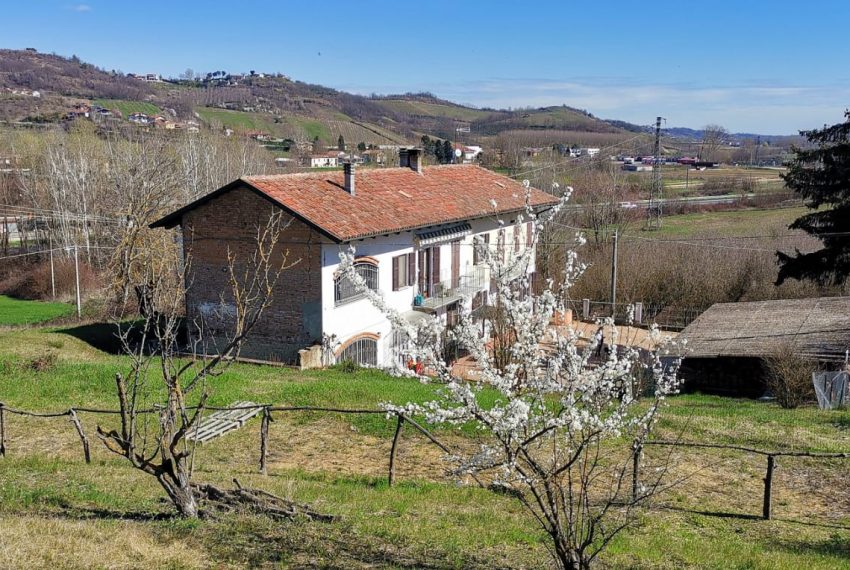 WhatsApp Image 2024-03-13 at 12.35.42