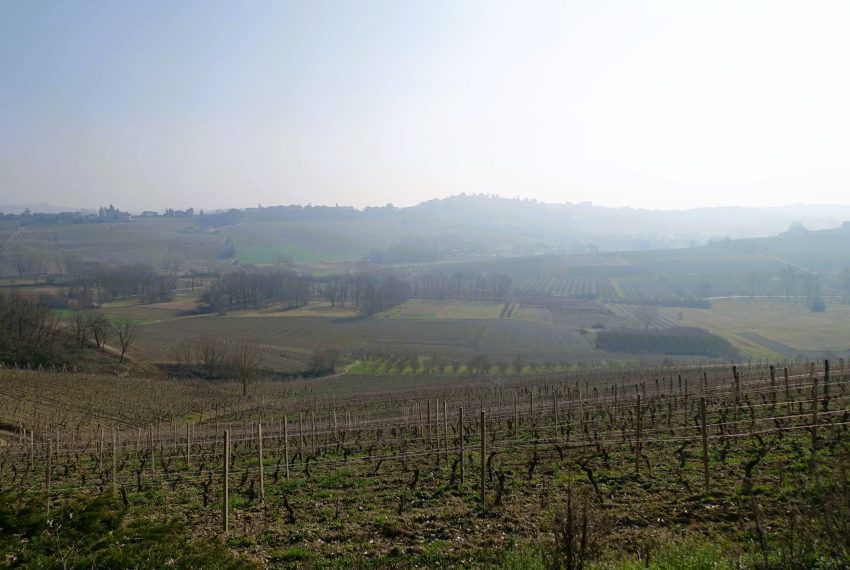 case-in-piemonte-piedmont-properties-real-estate-eli-anne-fabiana-1546 (15)