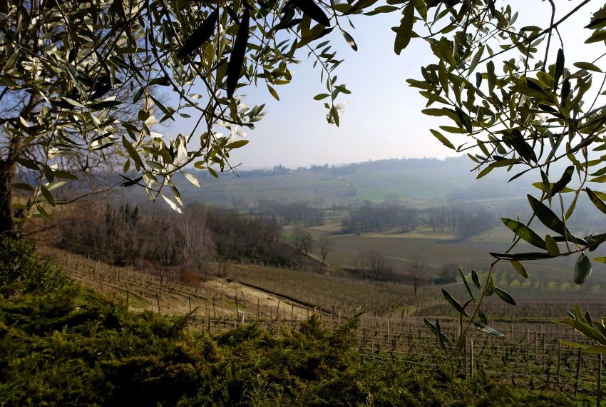 case-in-piemonte-piedmont-properties-real-estate-eli-anne-fabiana-1546 (18)