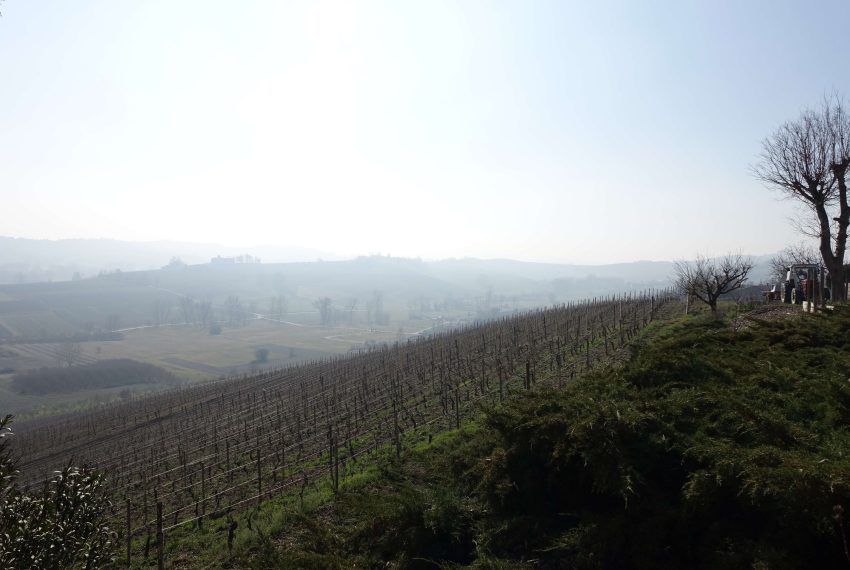 case-in-piemonte-piedmont-properties-real-estate-eli-anne-fabiana-1546 (28)