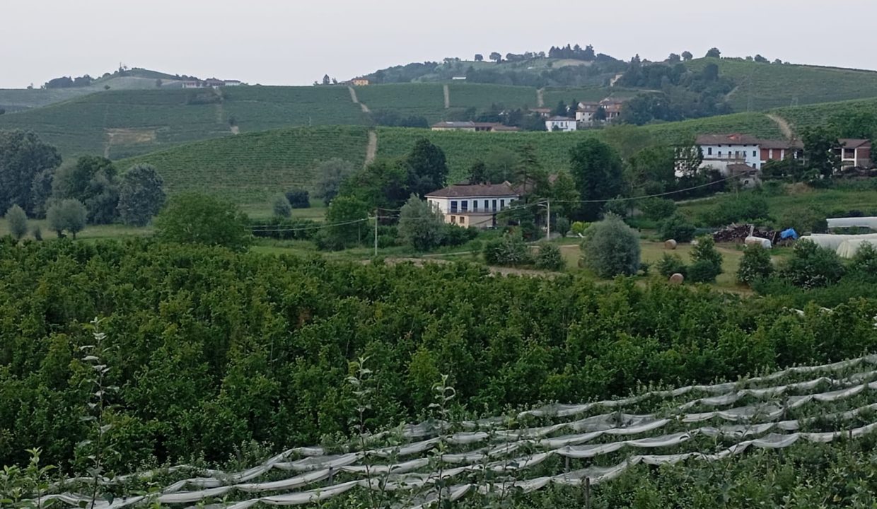 CaseinPiemonte_AglianoTerme_Monferrato_immobiliare_Barbera_CM-1595.jpg Image 2024-06-29 at 20.41.41 (2)