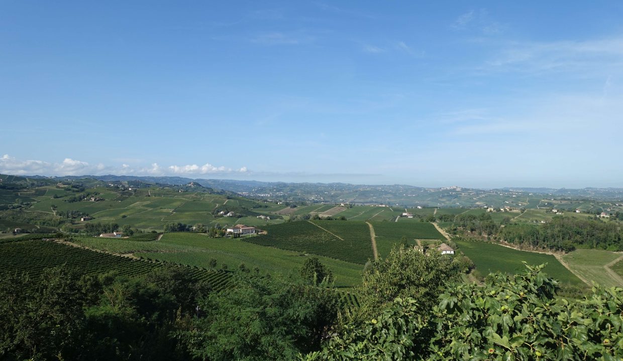 CP-1612_nizza_piemonte_realestate_elianne_fabiana_caseinpiemonte_homesinpiemonte_unesco ( (8)