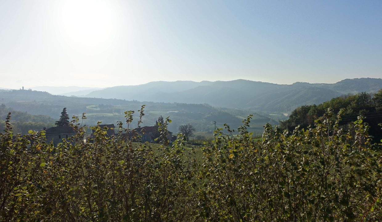 CP_1618_cascina_pietra_stoneproperty_langhe_piemonte_caseinpiemonte_elianne_realestate_unesco (23)