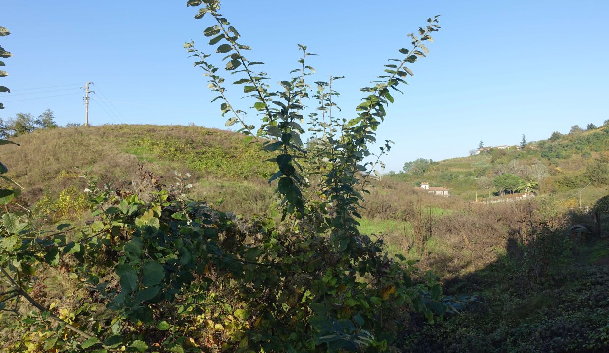 CP_1618_cascina_pietra_stoneproperty_langhe_piemonte_caseinpiemonte_elianne_realestate_unesco (7)