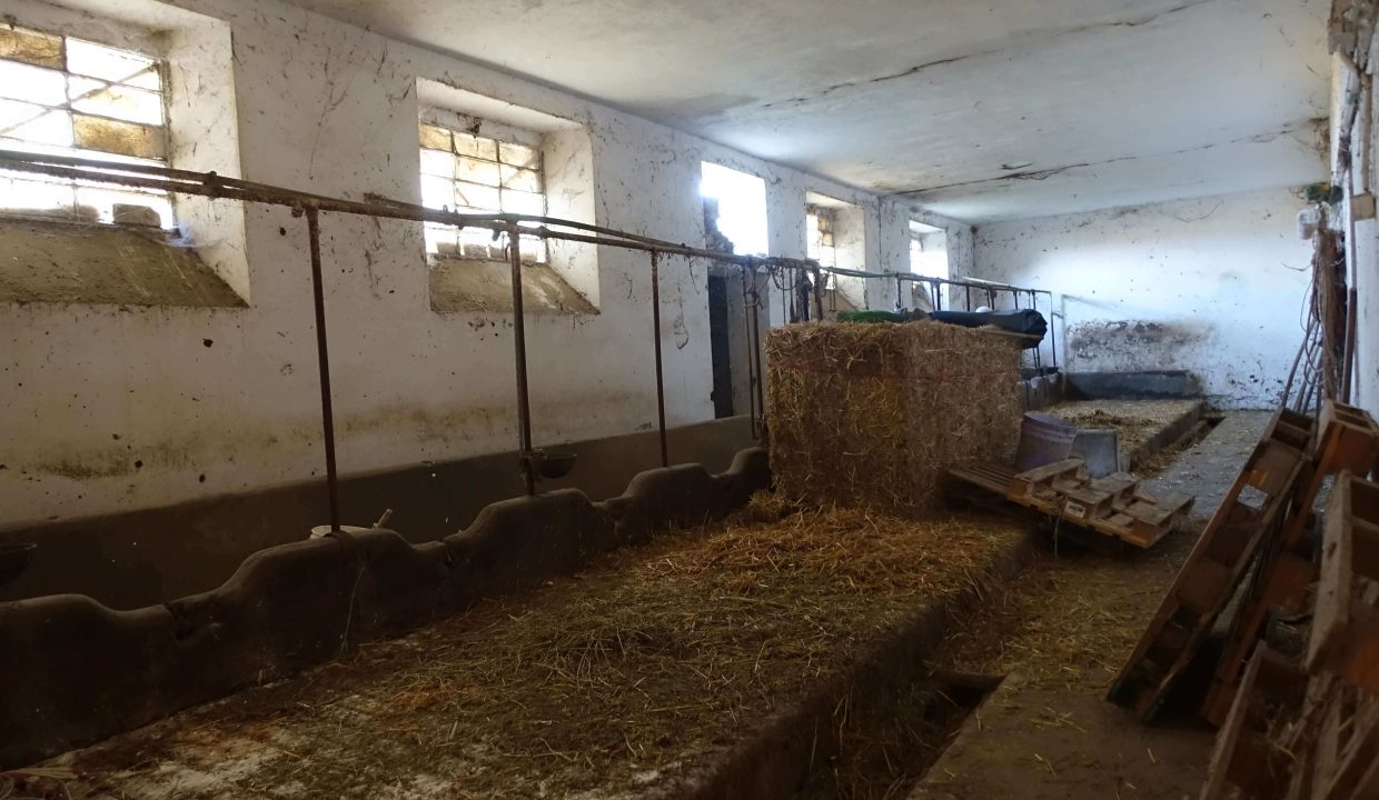 Cp-1622_unesco_nizza_barbera_moscato_monferrato_caseinpiemonte_fabiana_elianne_selectedhomes_homesinpiemonte (1)