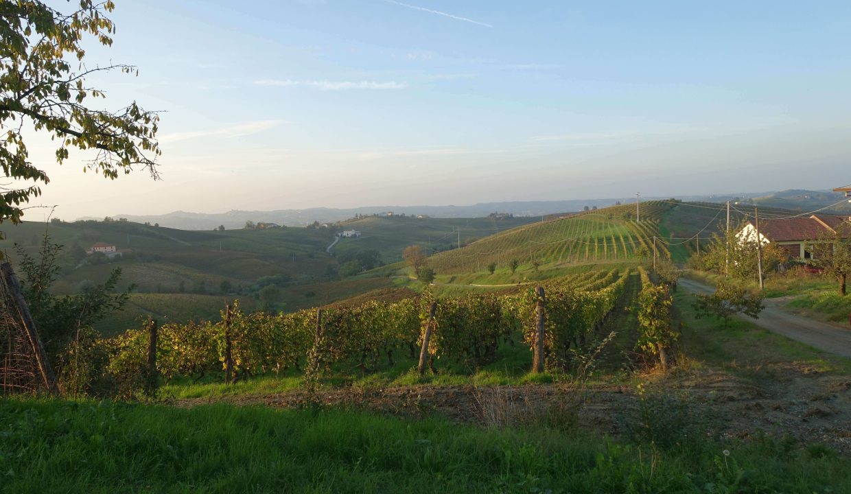 Cp-1622_unesco_nizza_barbera_moscato_monferrato_caseinpiemonte_fabiana_elianne_selectedhomes_homesinpiemonte ( (16)