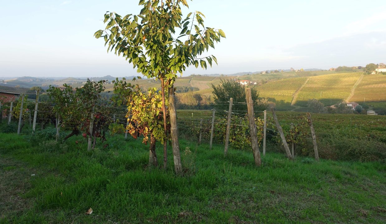 Cp-1622_unesco_nizza_barbera_moscato_monferrato_caseinpiemonte_fabiana_elianne_selectedhomes_homesinpiemonte ( (17)