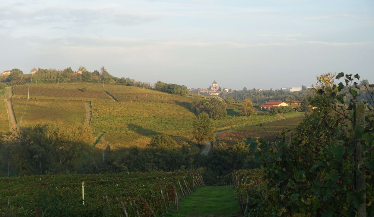 Cp-1622_unesco_nizza_barbera_moscato_monferrato_caseinpiemonte_fabiana_elianne_selectedhomes_homesinpiemonte ( (18)
