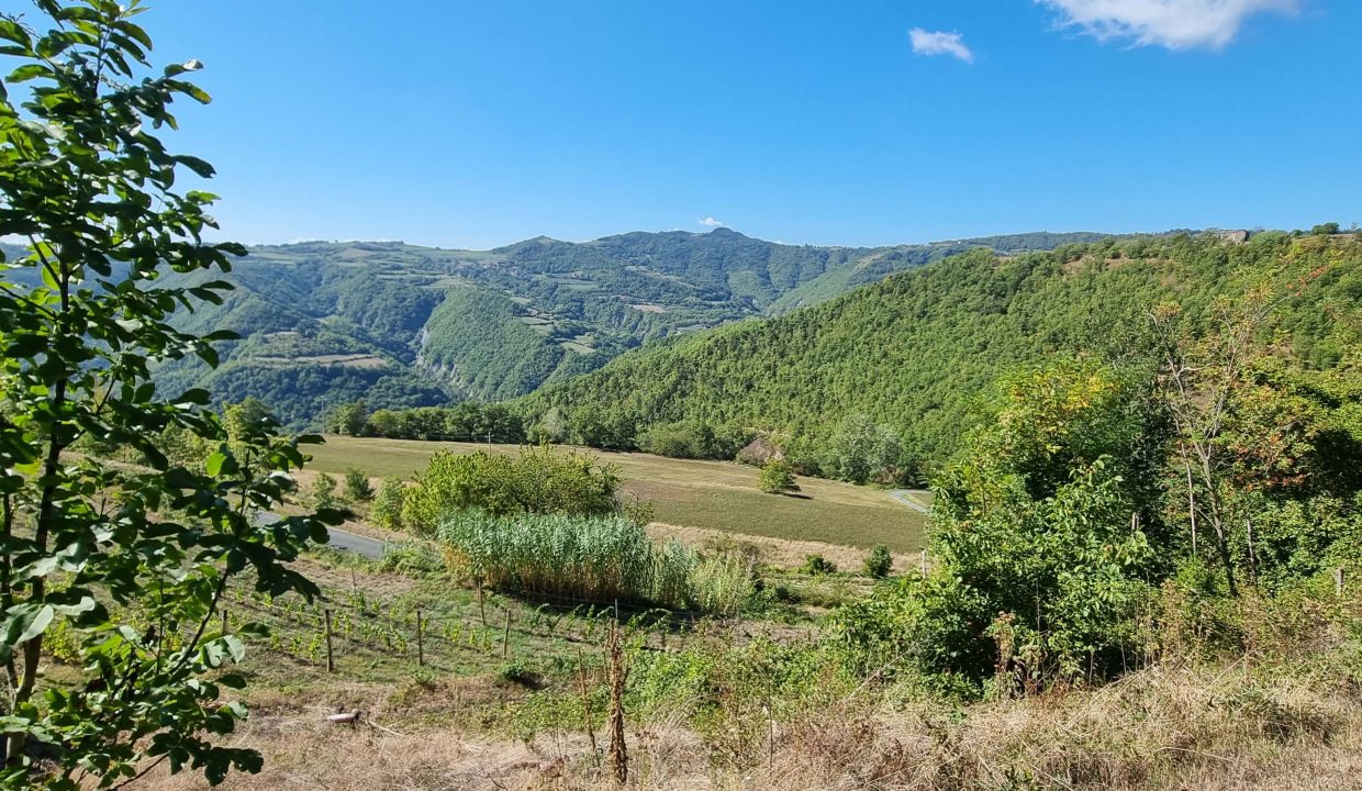 caseinpiemonte-realestate-fabiana-elianne-roccaverano-robiola-unesco-barbera-stonehouse-piemonte-langhe-cp-1389 (1)