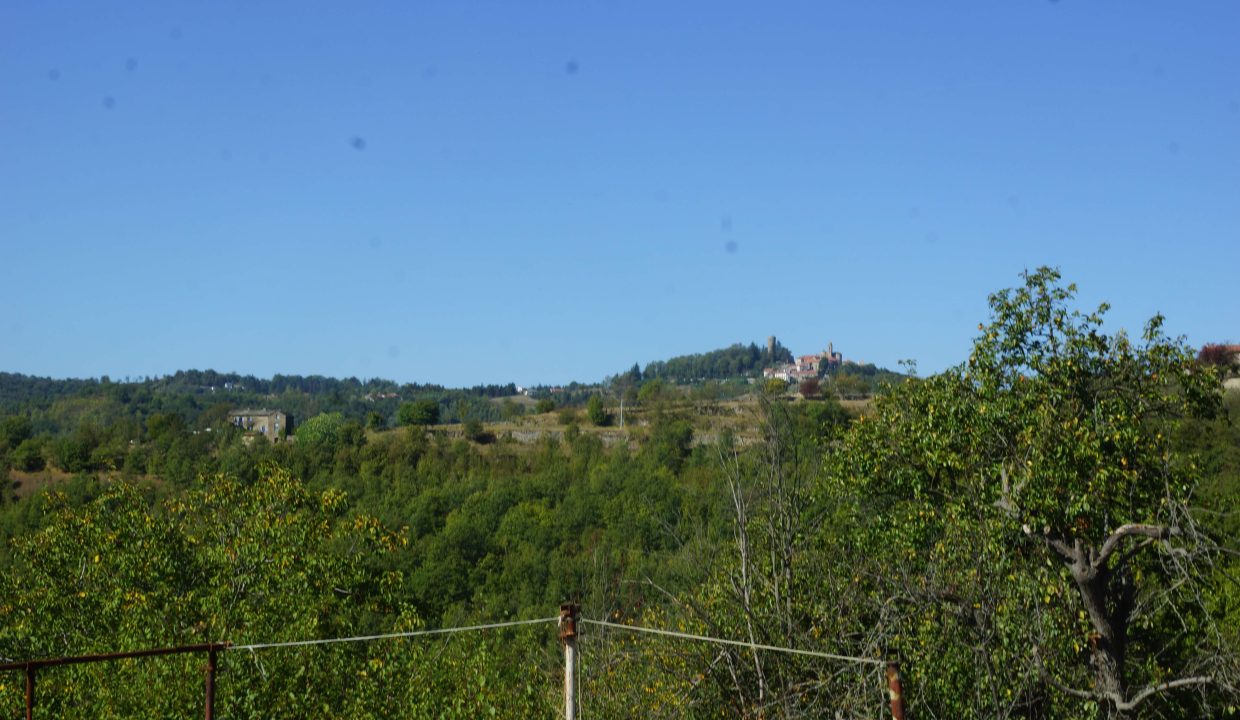 caseinpiemonte-realestate-fabiana-elianne-roccaverano-robiola-unesco-barbera-stonehouse-piemonte-langhe-cp-1389 (6)