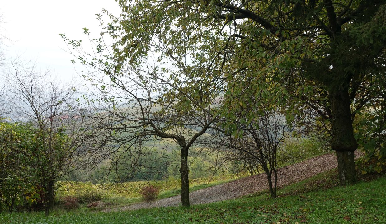 caseinpiemonte_fabiana_elianne_realestate_mango_unesco_piemonte_stone_cascina_views_panoramic_moscato (12)