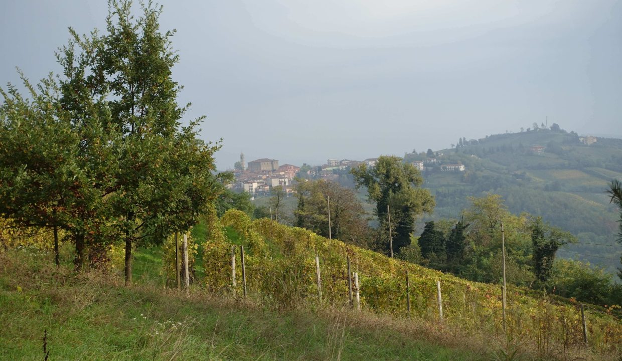 caseinpiemonte_fabiana_elianne_realestate_mango_unesco_piemonte_stone_cascina_views_panoramic_moscato (9)