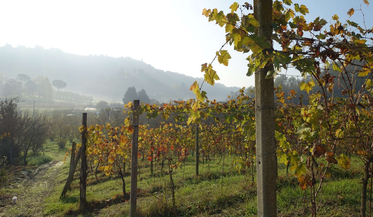 CP_1626_caseinpiemonte_unesco_barbera_vineyards_piemonte_fabiana_elianne_castelnuovo_mombercelli_cascina_farm (5)