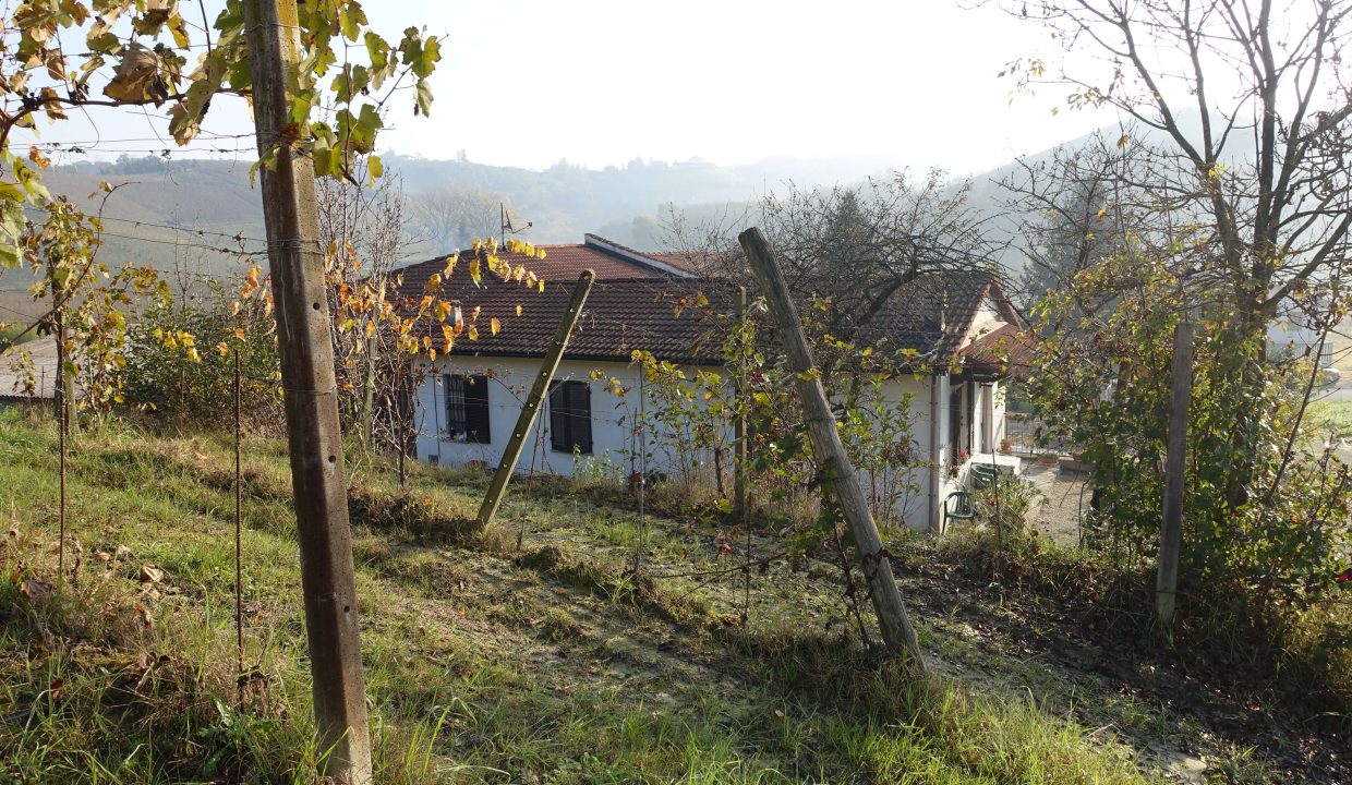 CP_1626_caseinpiemonte_unesco_barbera_vineyards_piemonte_fabiana_elianne_castelnuovo_mombercelli_cascina_farm (7)