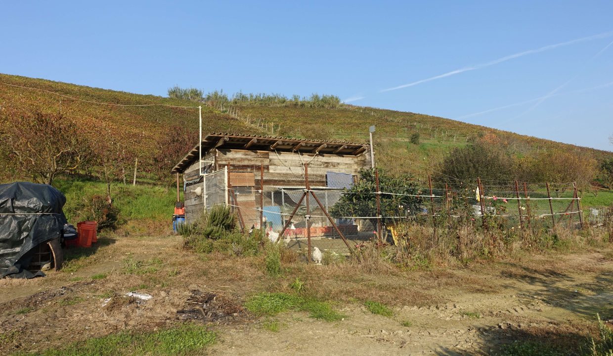 CP_1626_caseinpiemonte_unesco_barbera_vineyards_piemonte_fabiana_elianne_castelnuovo_mombercelli_cascina_farm (9)